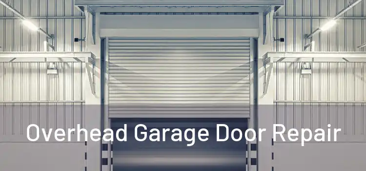  Overhead Garage Door Repair 